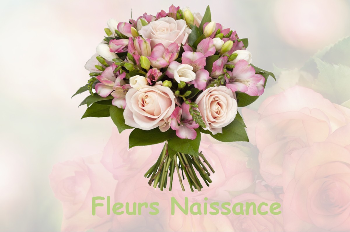 fleurs naissance PRUNAY-LE-GILLON