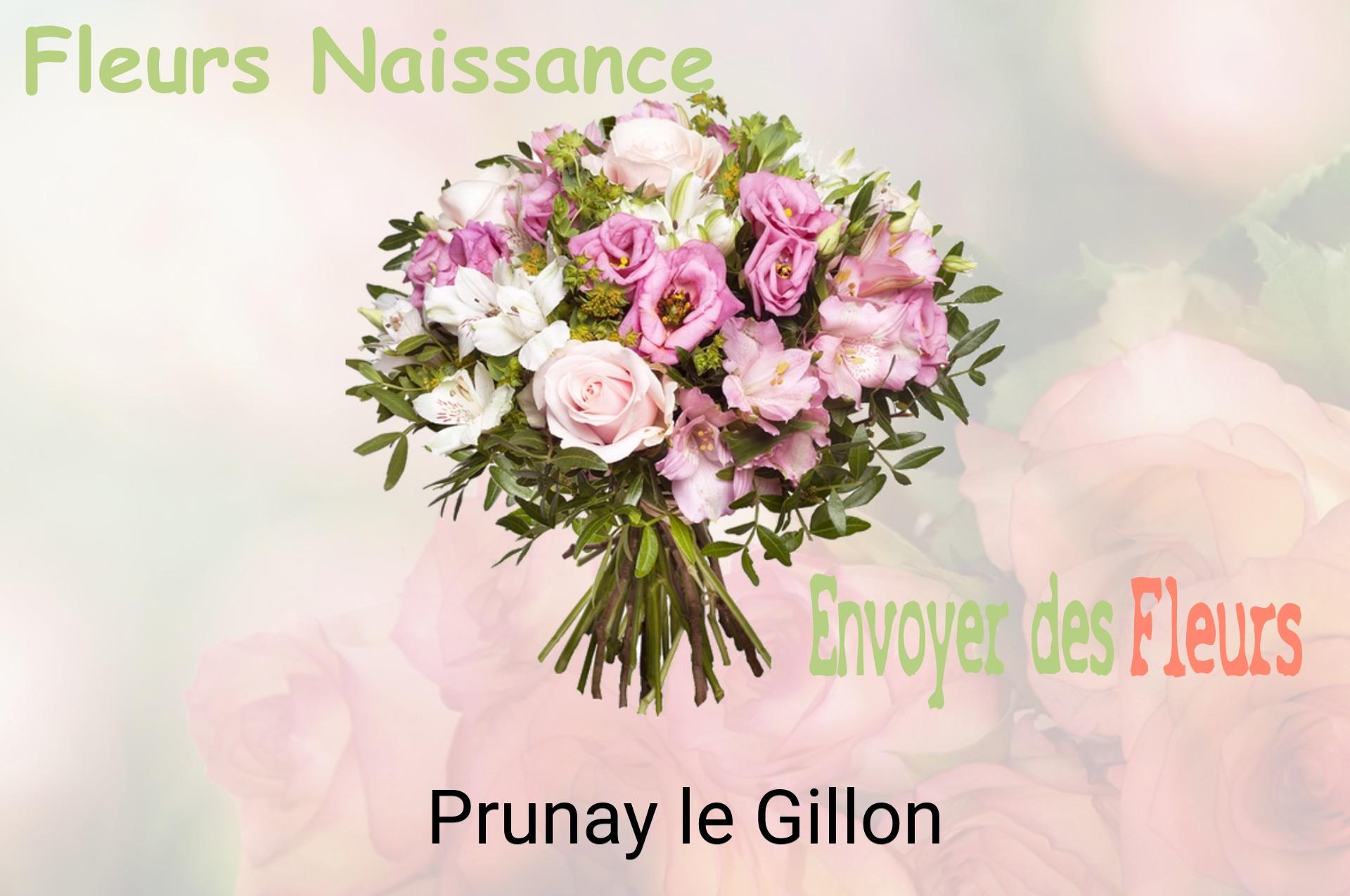Bouquet de fleurs de naissance livré à Prunay-le-Gillon